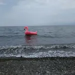 아파트 Tolofona 에라티니