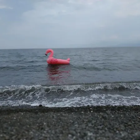 Apartment Tolofona Erateini