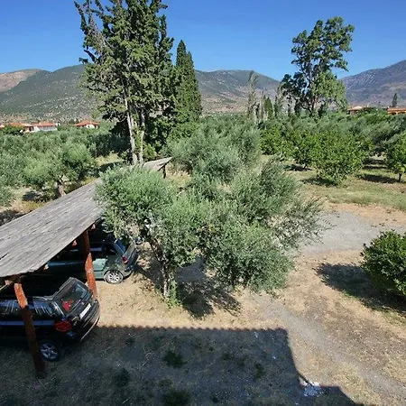 Tolofona Apartament