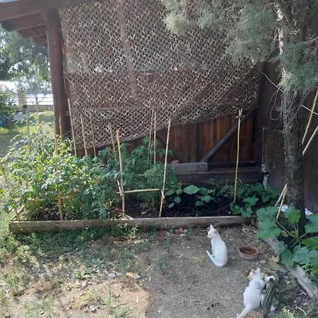 Tolofona Apartament